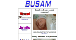 Desktop Screenshot of busam.com